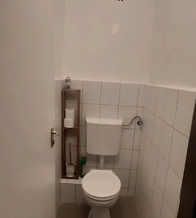 Bluebird זלקרוס